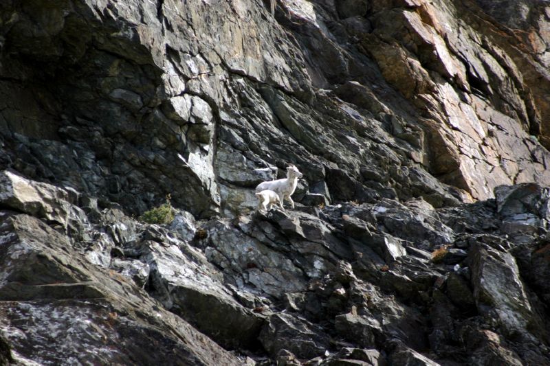 070404 Hope Hatcher Montana Creek (10053)